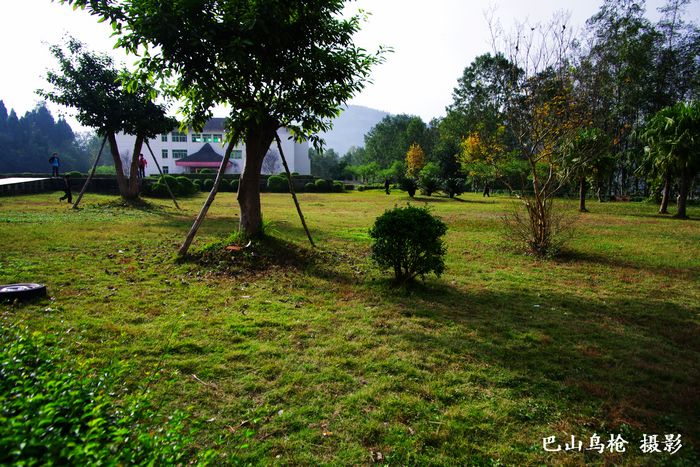 IMGP7981.jpg