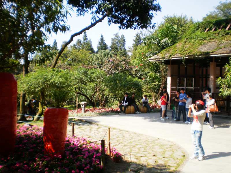 P1010093.jpg