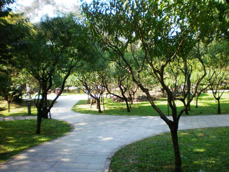 P1010094.jpg