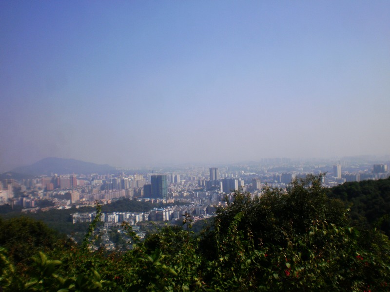P1010098.jpg