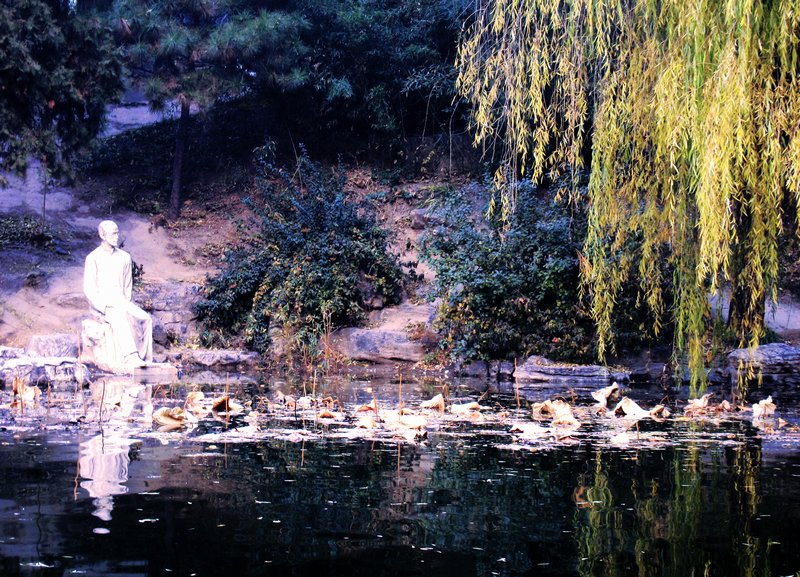 IMG_0050.jpg