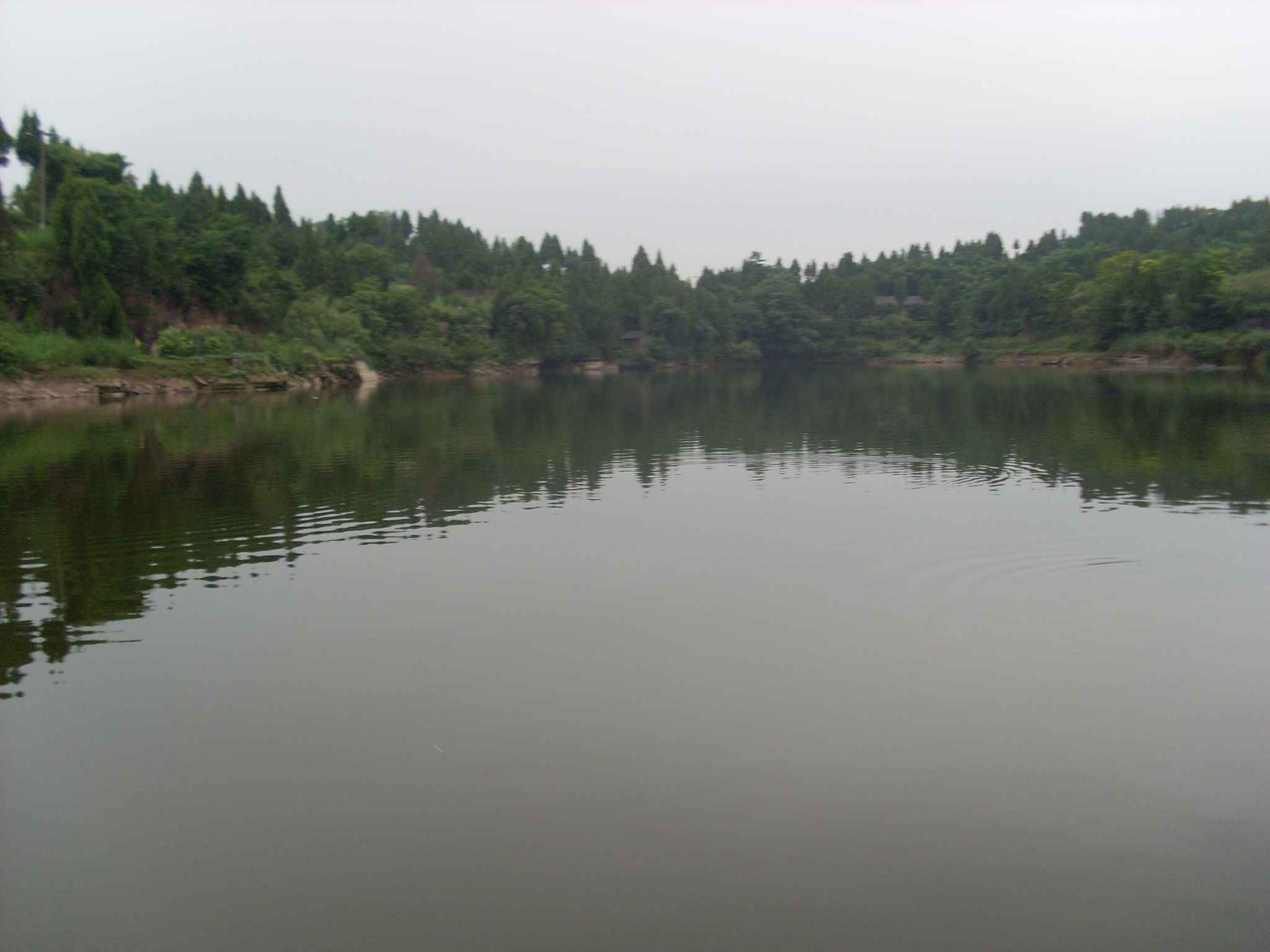 SL380132.JPG