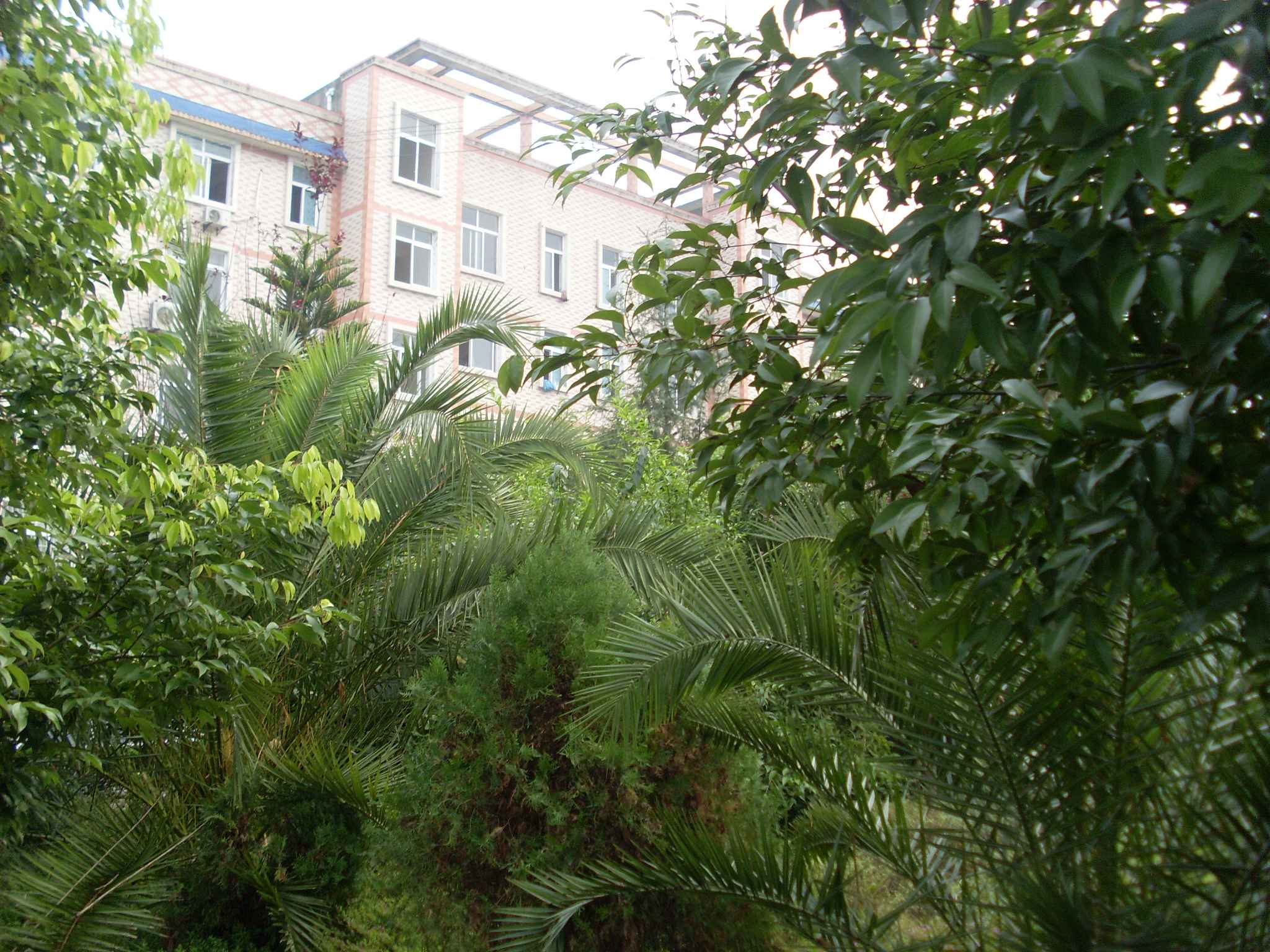 SL380353.JPG