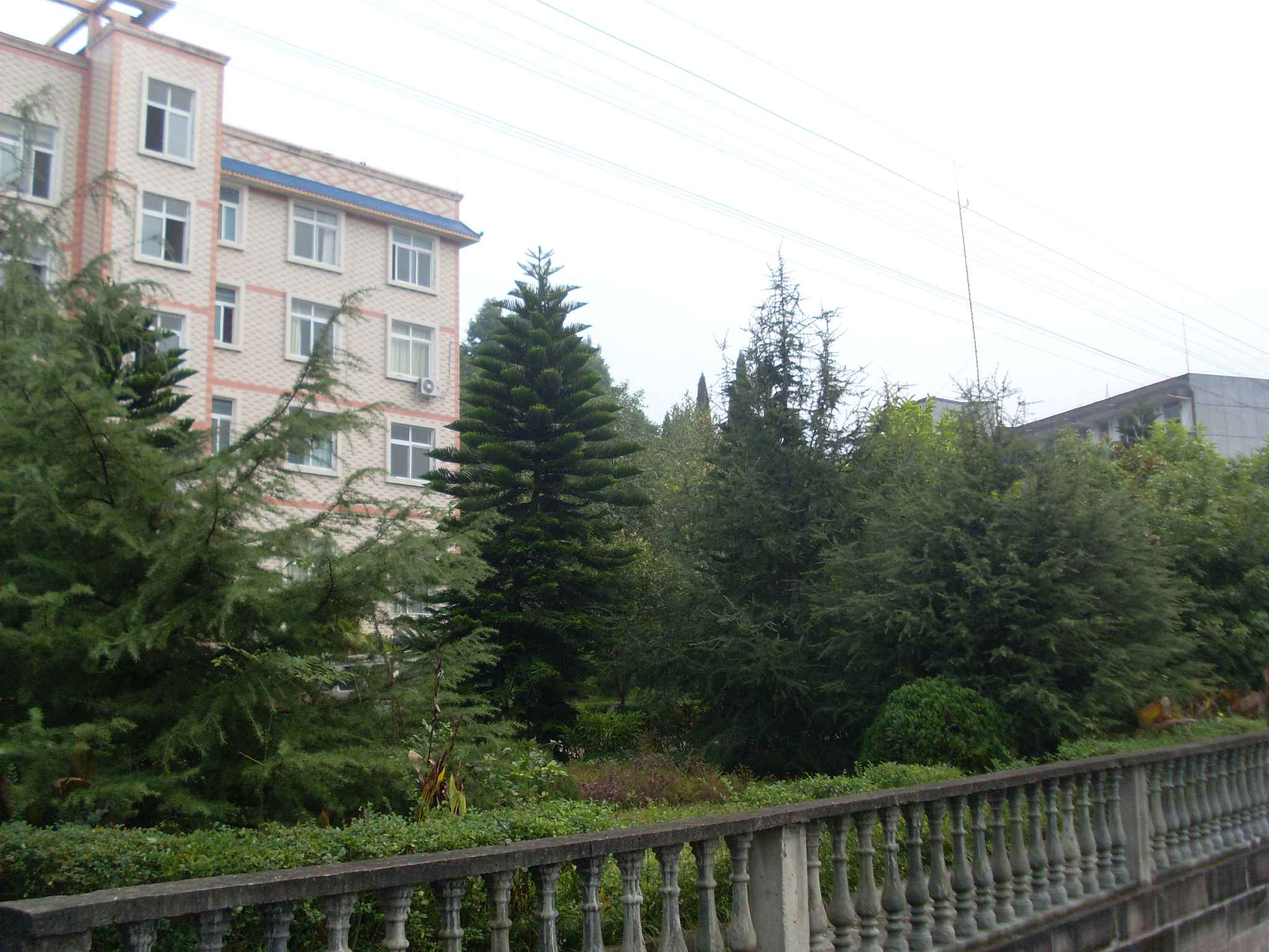 SL380357.JPG