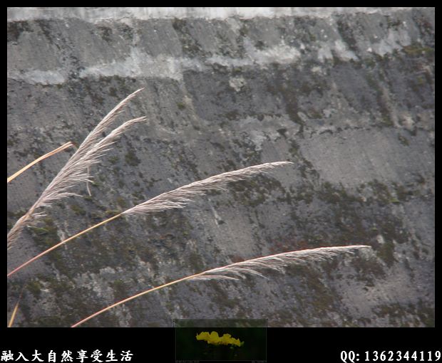 DSC01877.jpg