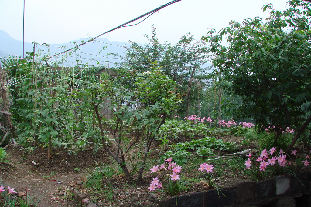 DSC04600a.jpg