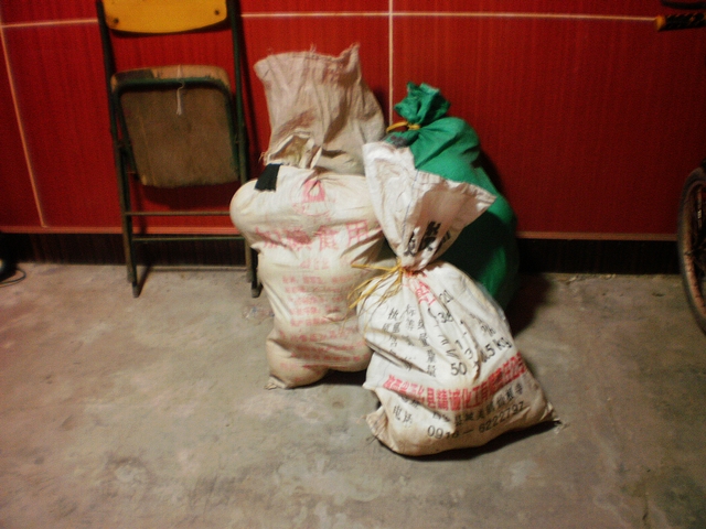P1260251.JPG