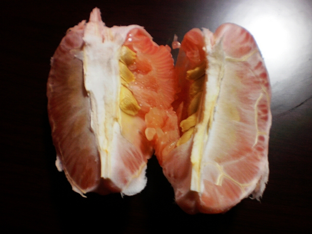 P1260253.JPG