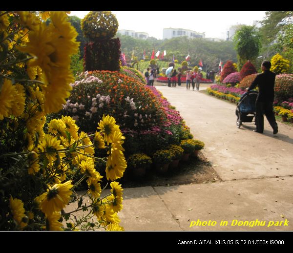2010.11.30 063.jpg