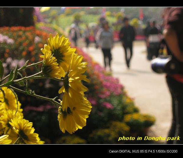 2010.11.30 065.jpg