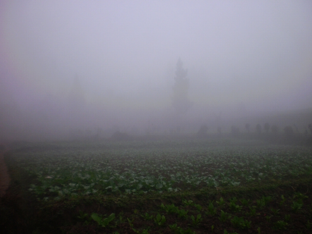 P1290270.jpg