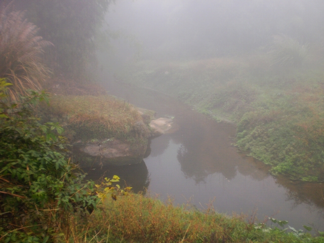 P1290273.jpg