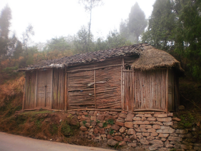 P1290283.jpg
