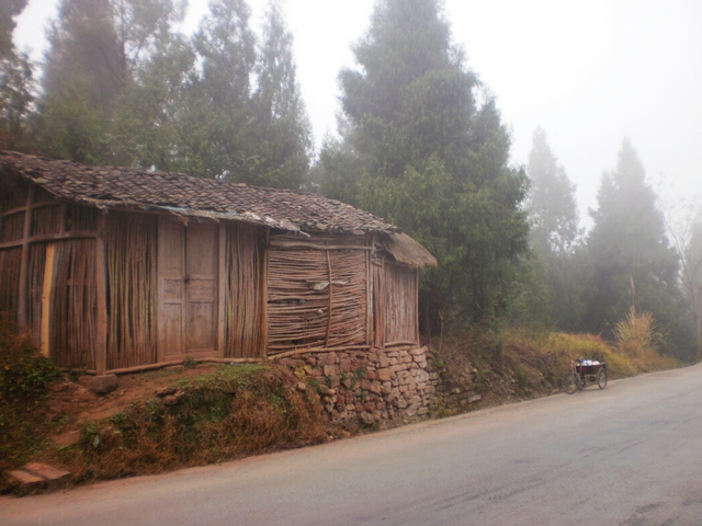 P1290284.jpg