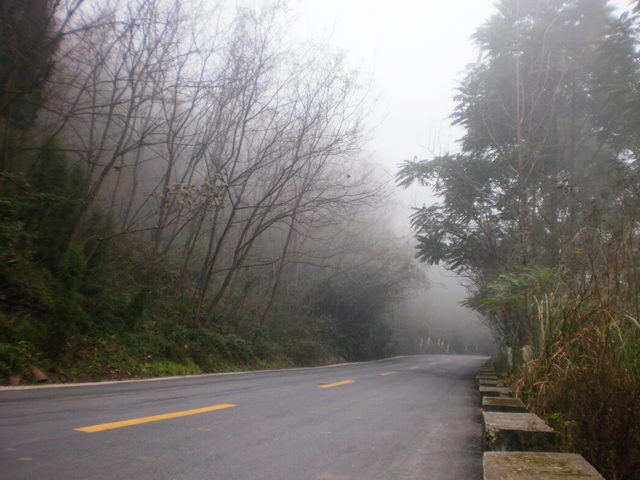 P1290293.jpg