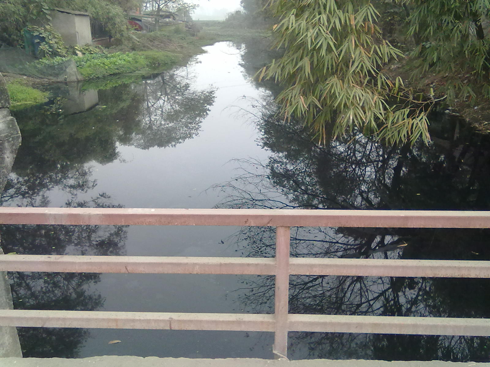 20101203100.jpg