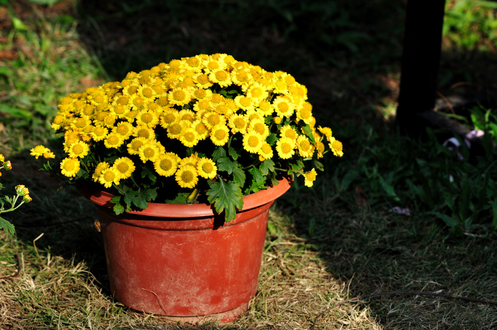 DSC_0492.jpg