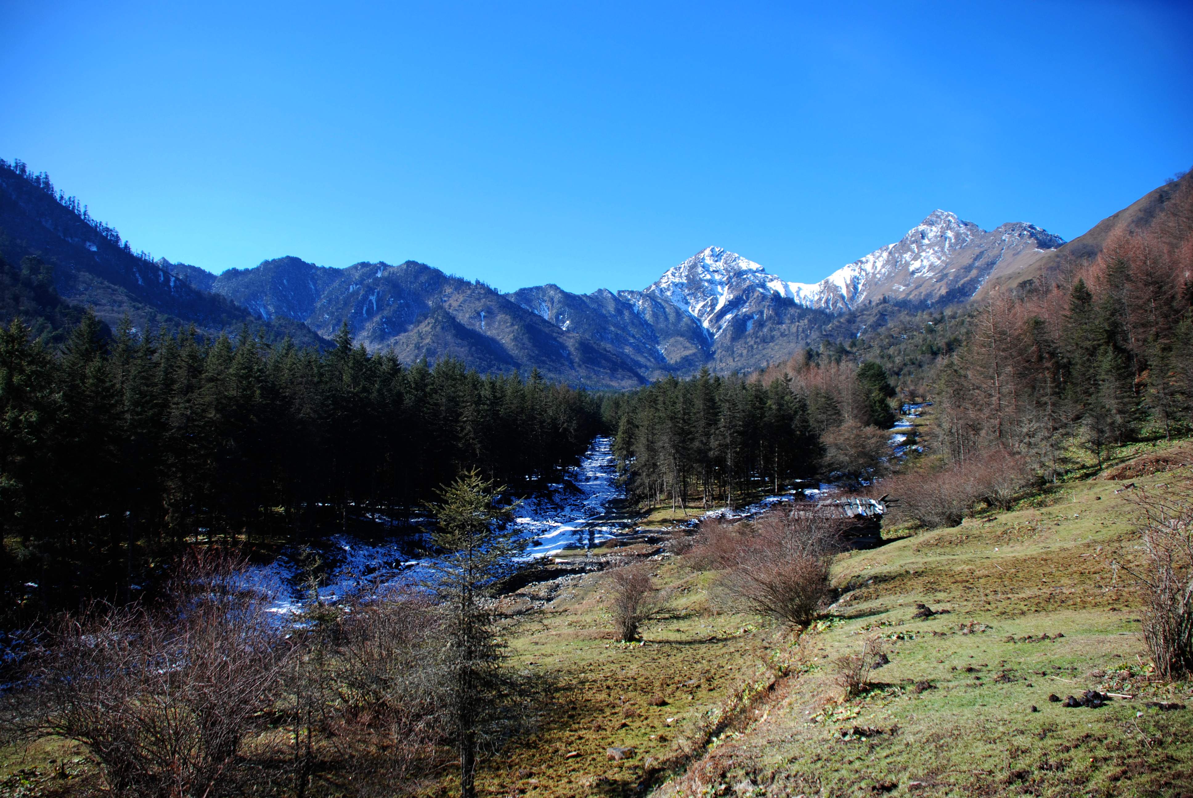 DSC_0003.jpg