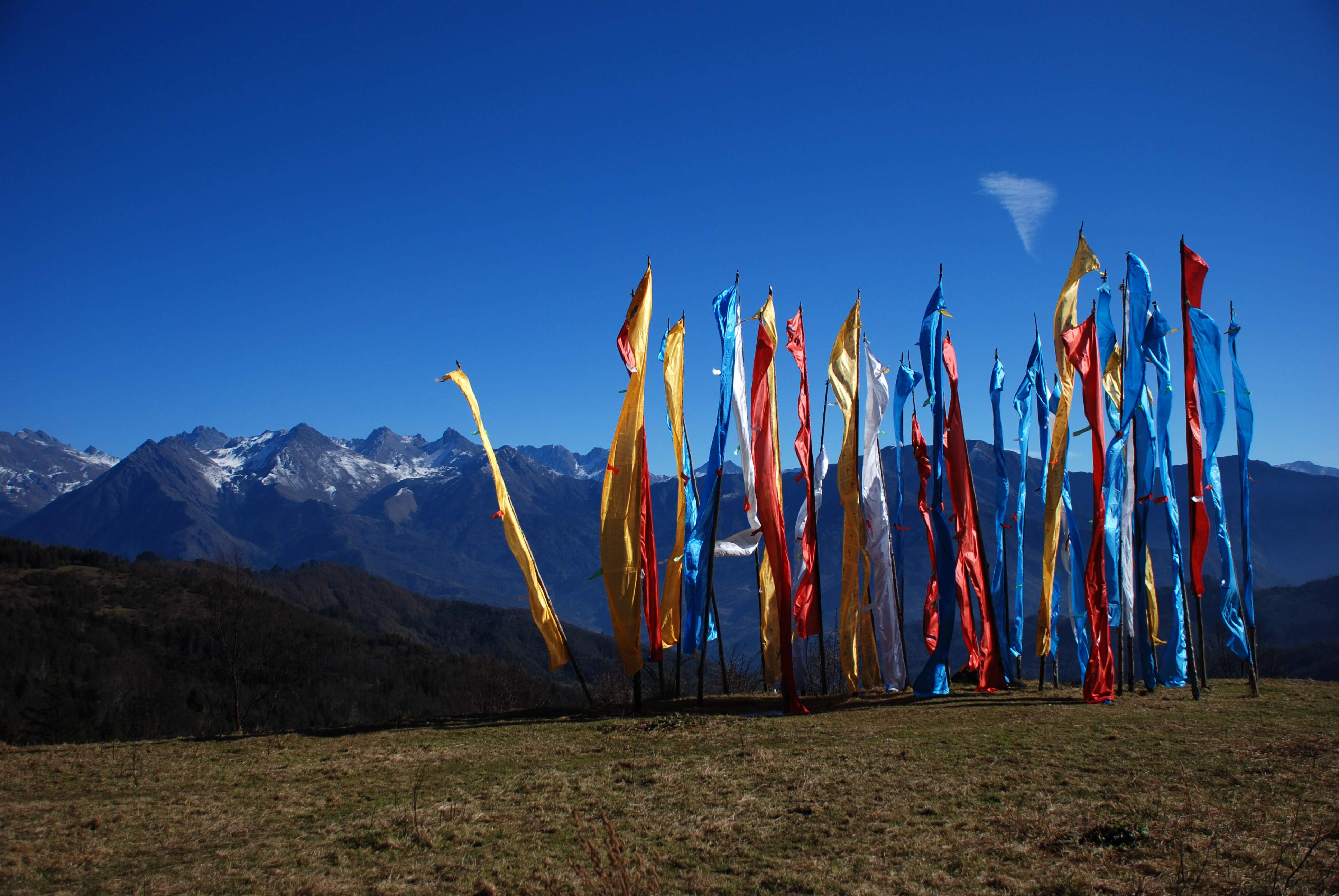 DSC_0017.jpg