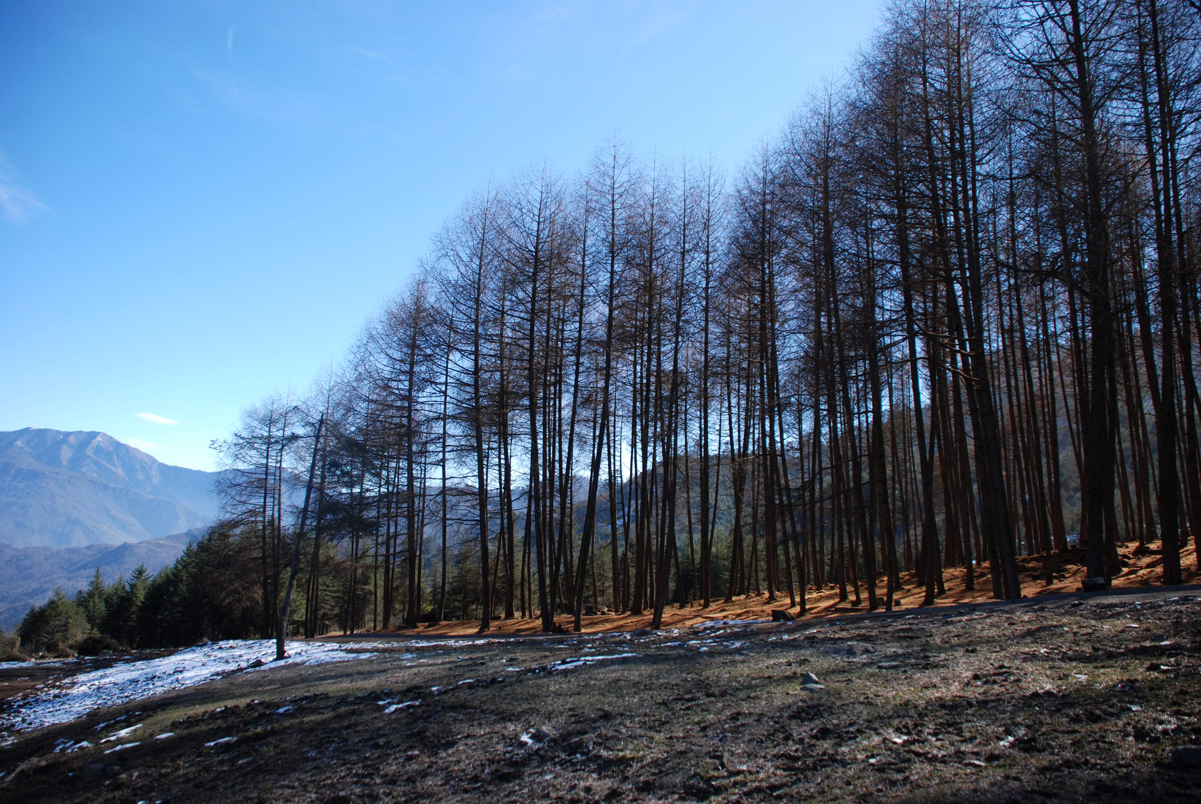 DSC_0040.jpg