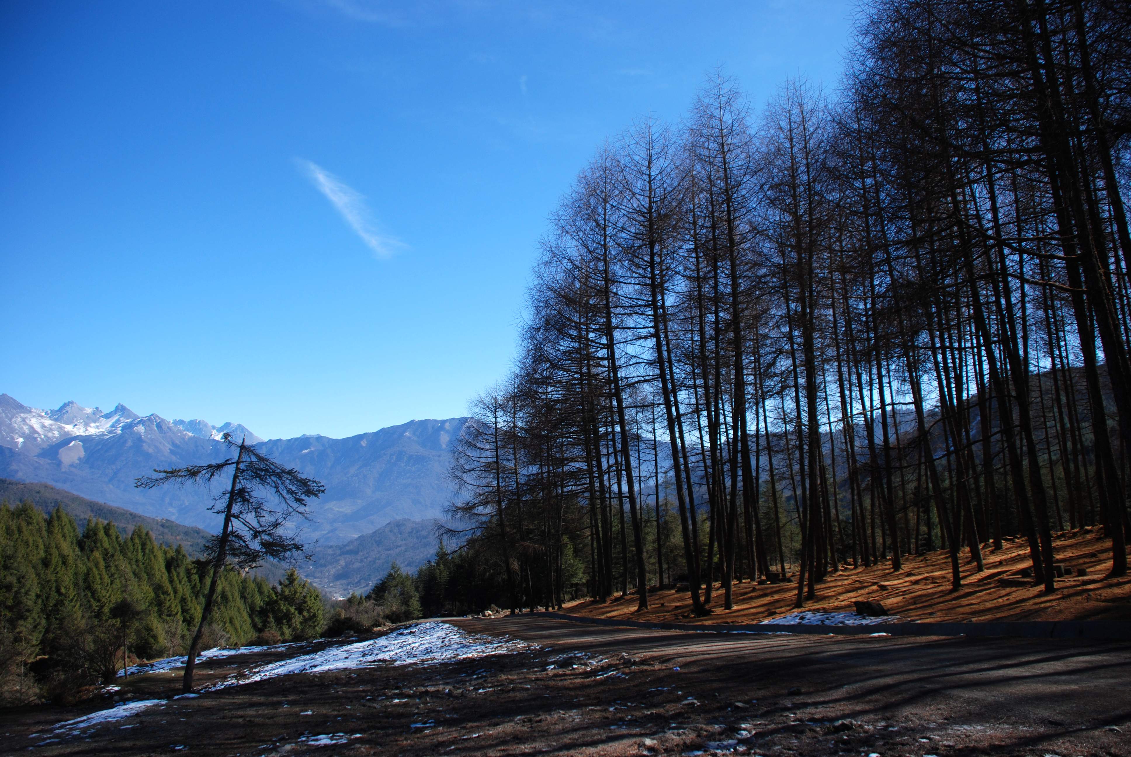 DSC_0042.jpg