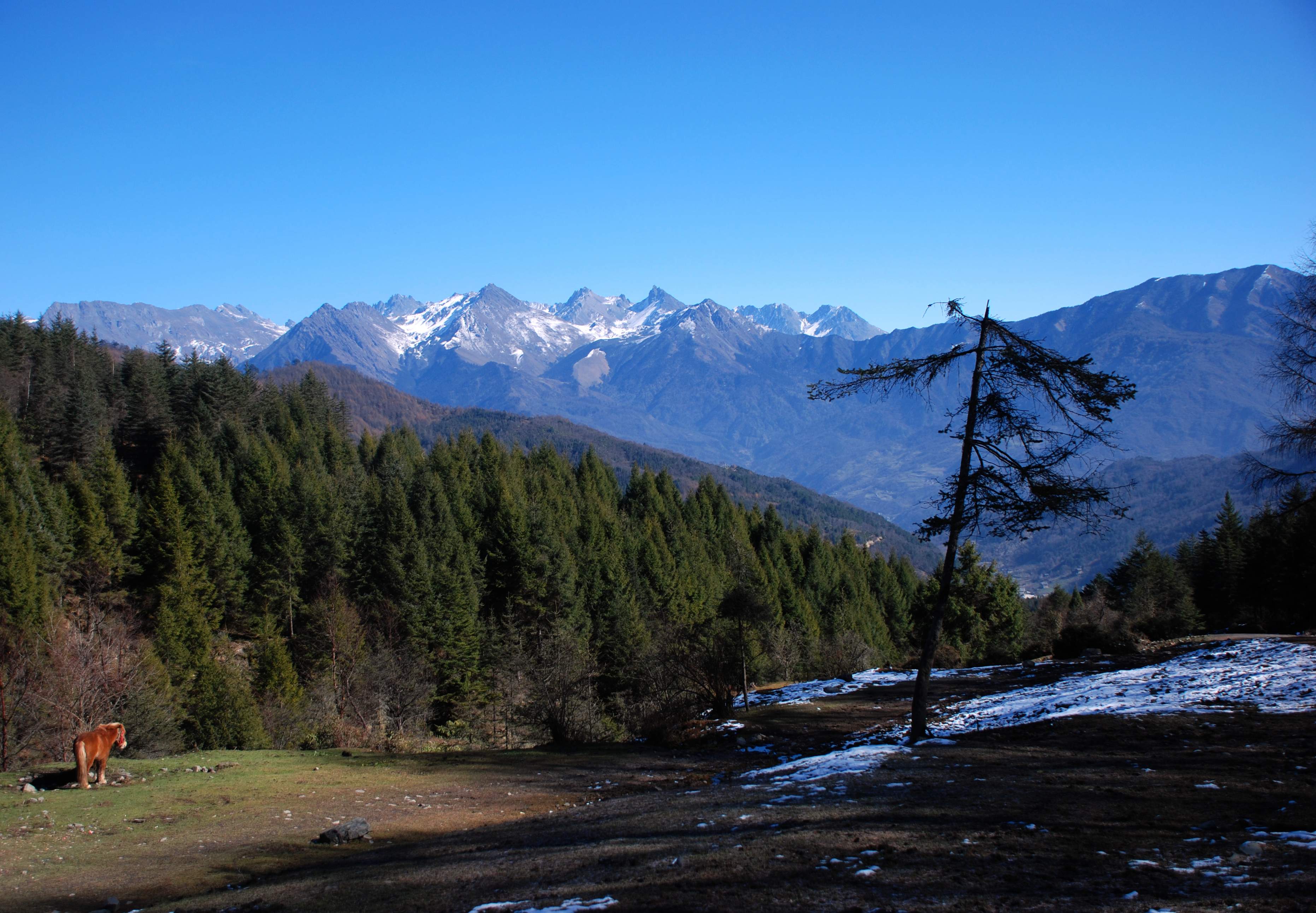 DSC_0044.jpg