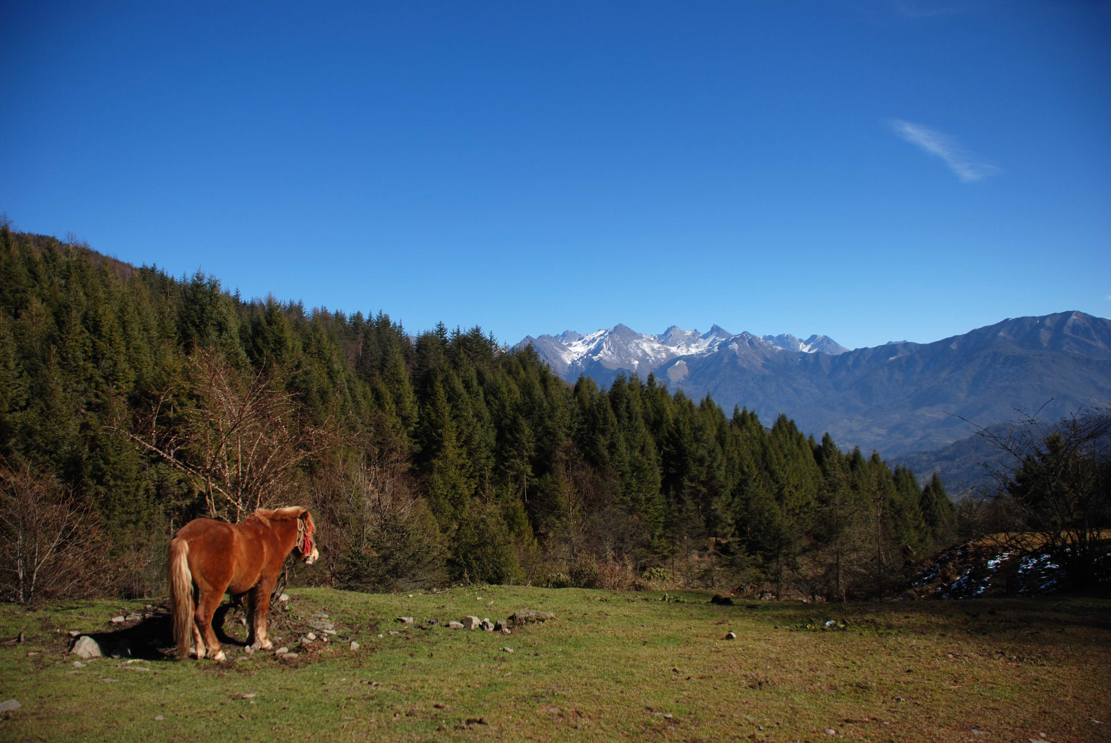 DSC_0047.jpg