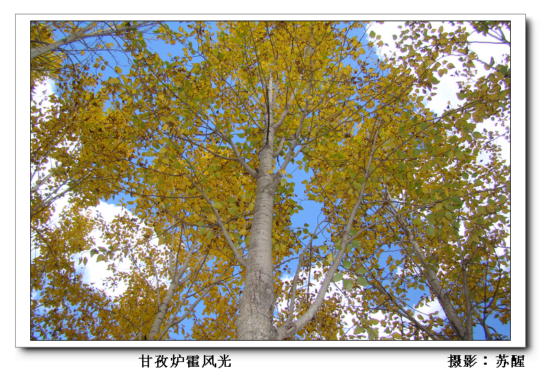DSC00929.JPG