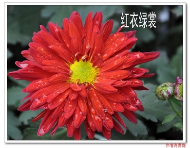 DSC_3590_Ӱ_2.jpg