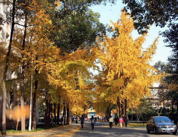 ӿƴ 020.jpg