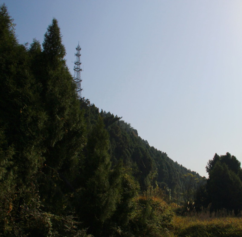 IMG_2465_1.JPG