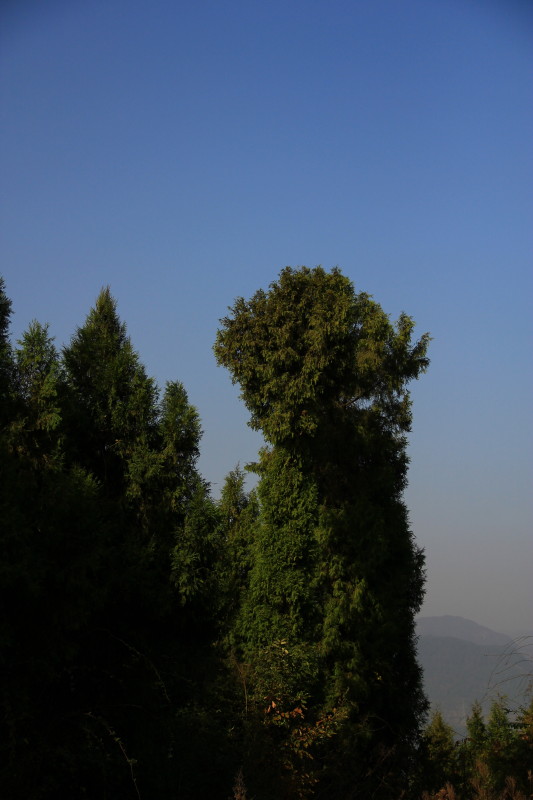 IMG_2481_1.JPG