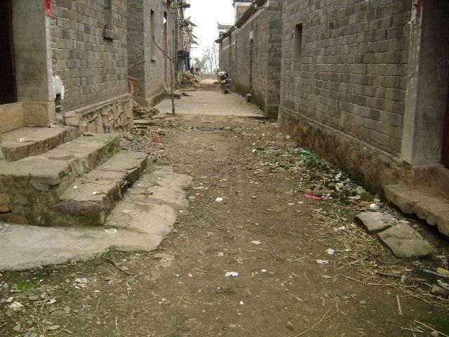 80.jpg