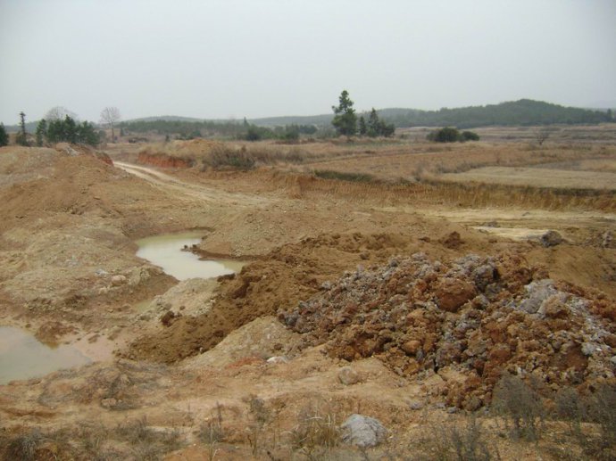 84.jpg