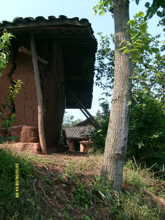 86.jpg