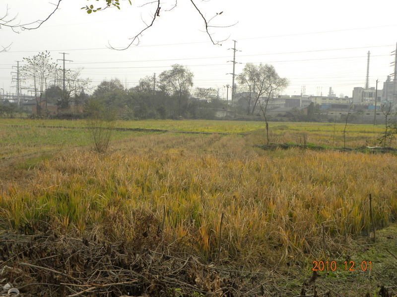 104.jpg