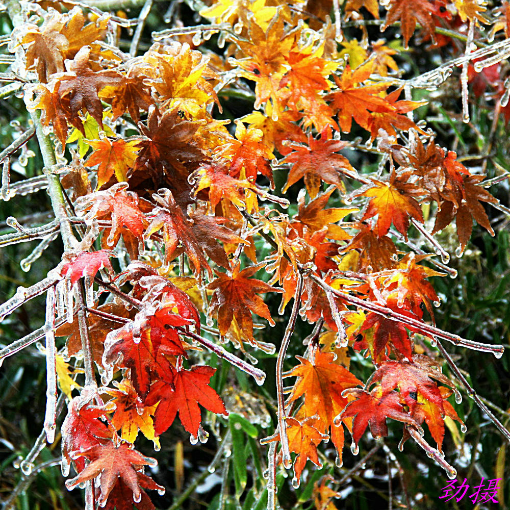 Ƭ 079_1.jpg