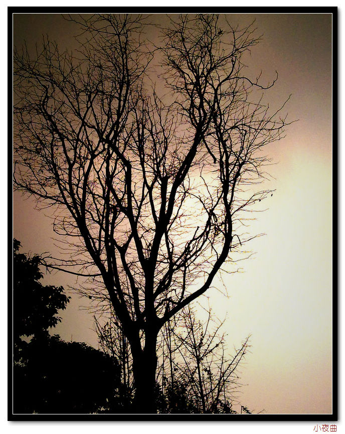 20101211529.jpg