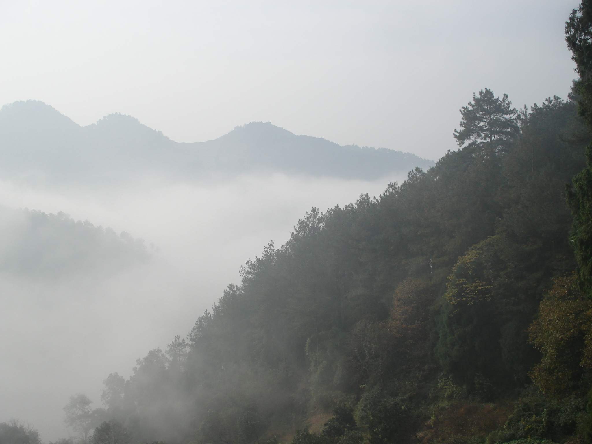 DSC06085.jpg