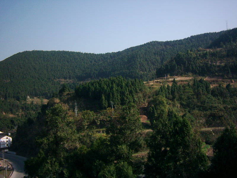 DSCI0018.JPG