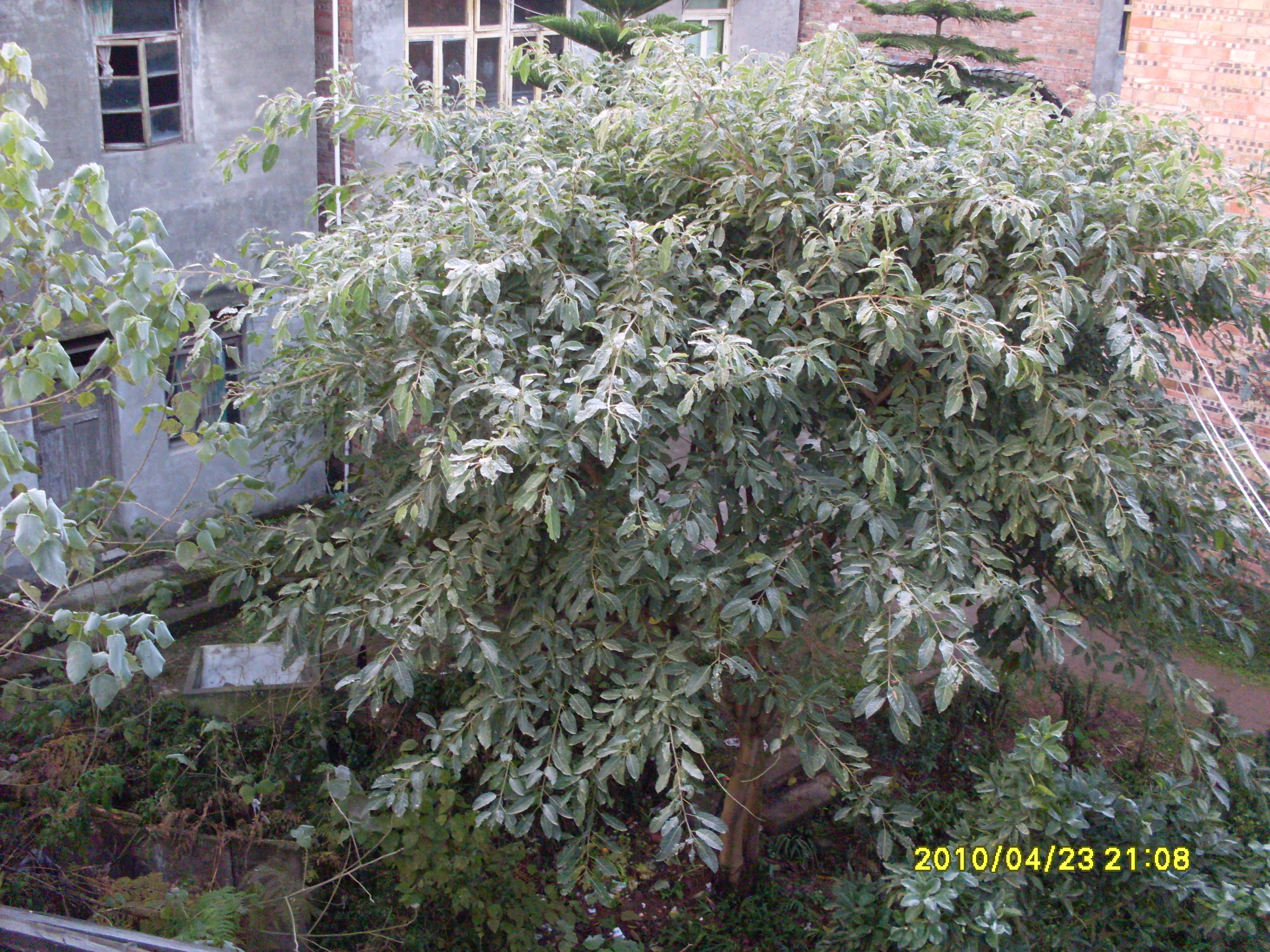 SDC12534.JPG
