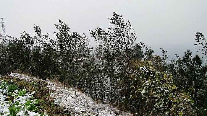 DSC06291.jpg
