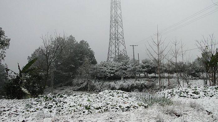 DSC06028.jpg