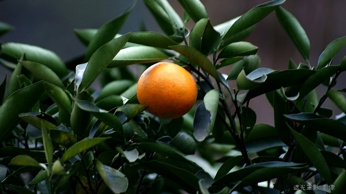 DSC01146.JPG