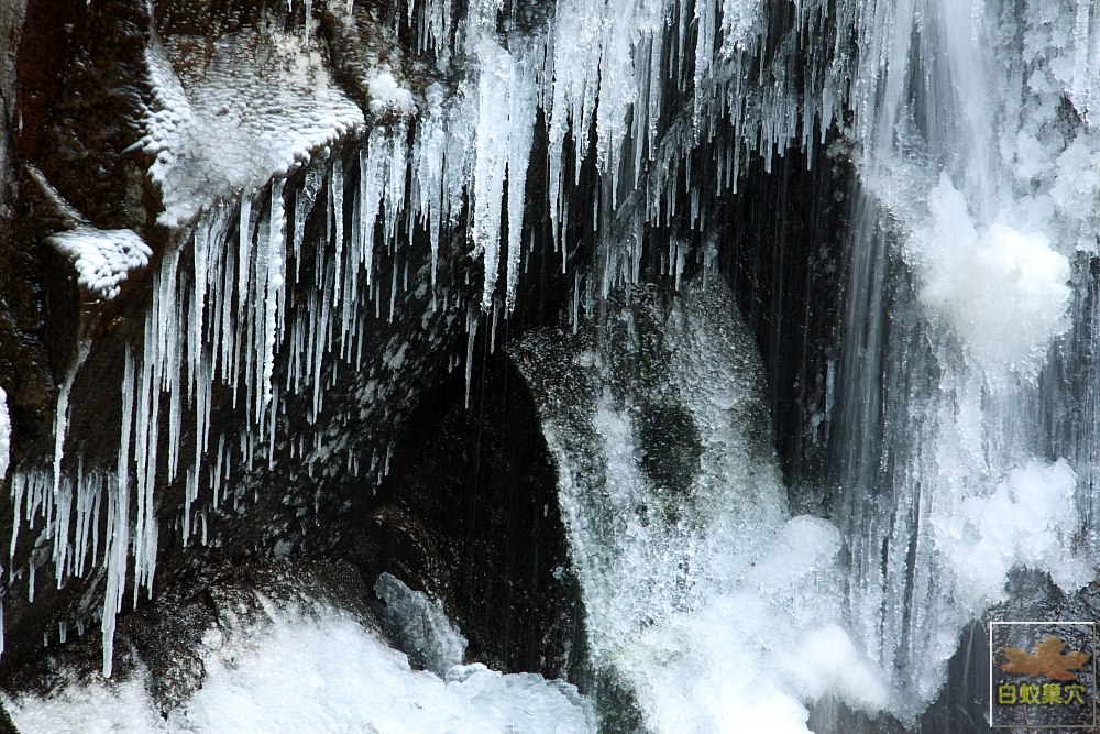 05.JPG