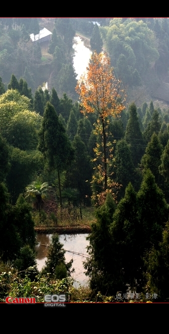 DSC01357.jpg