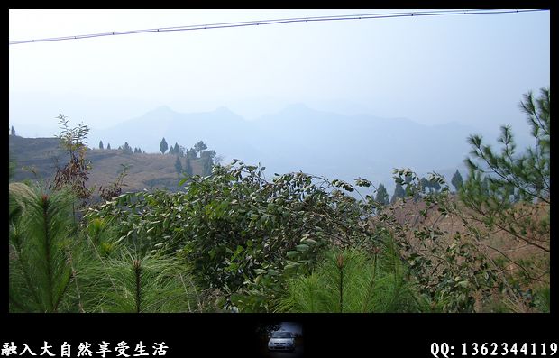 DSC02586.jpg