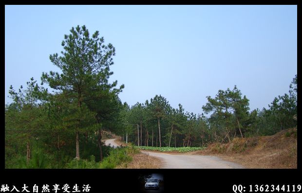 DSC02587.jpg