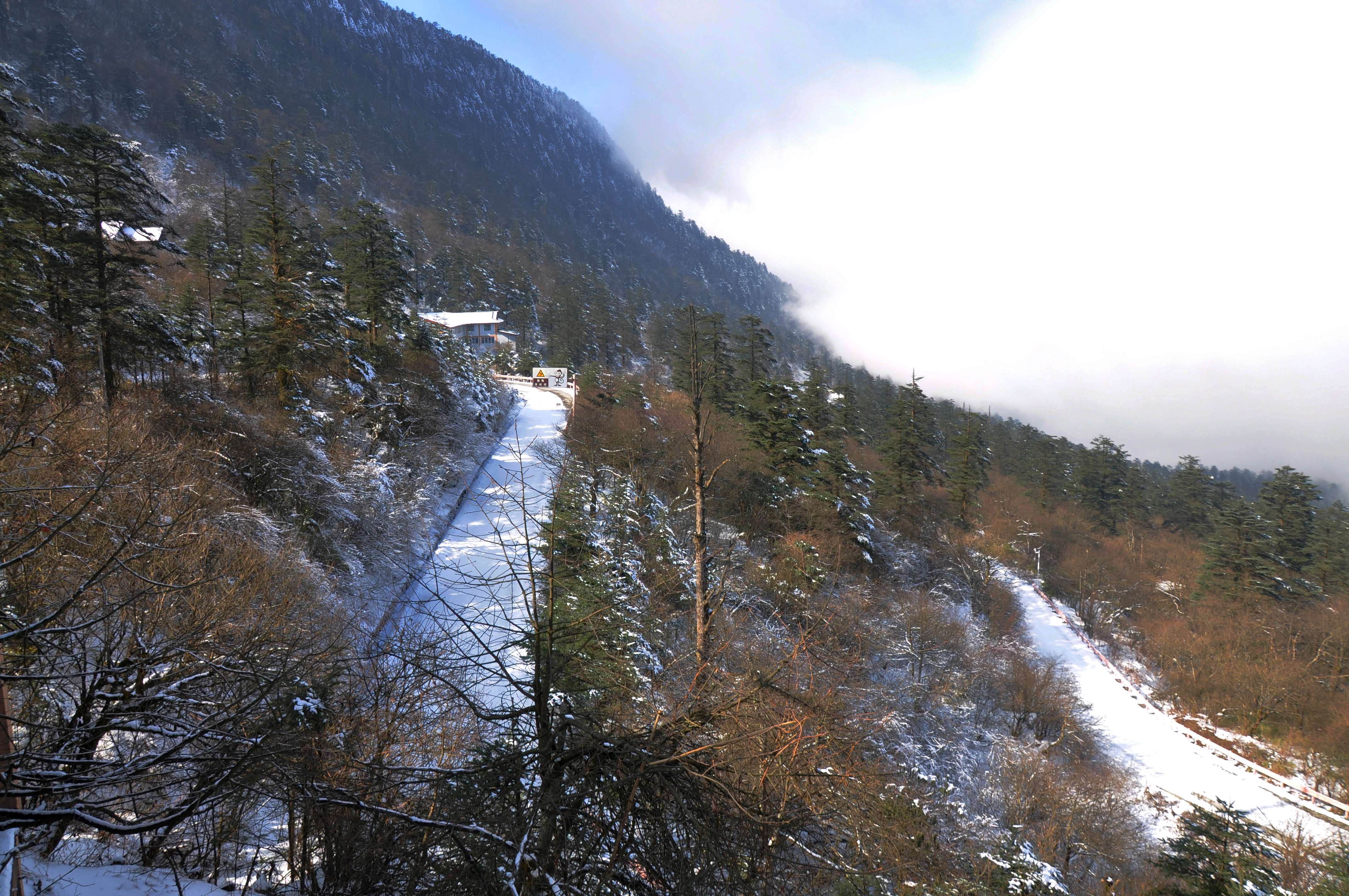 DSC_5954.JPG