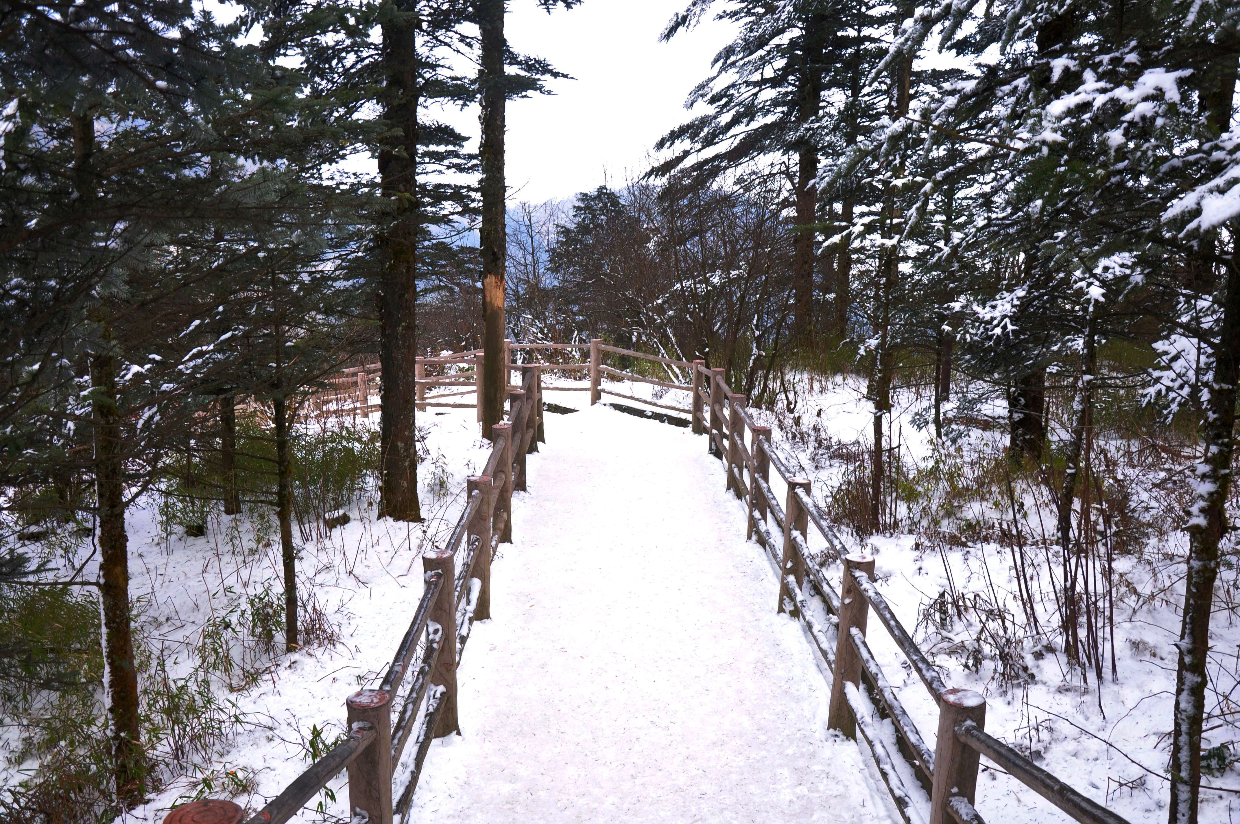 DSC_6072.JPG